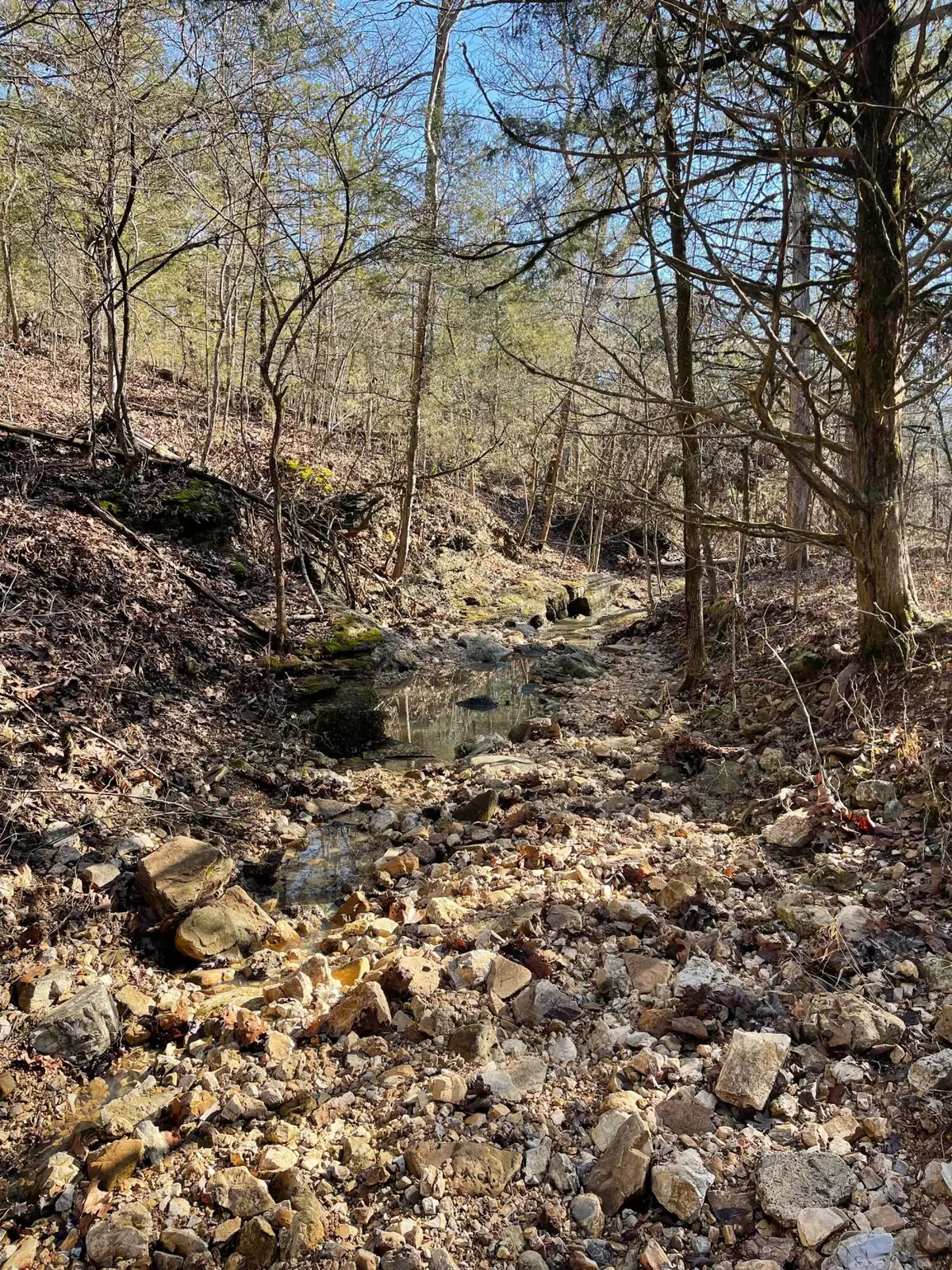 000 Us Hwy 160 #Section A & B, Gainesville, MO 65655 - Image #1