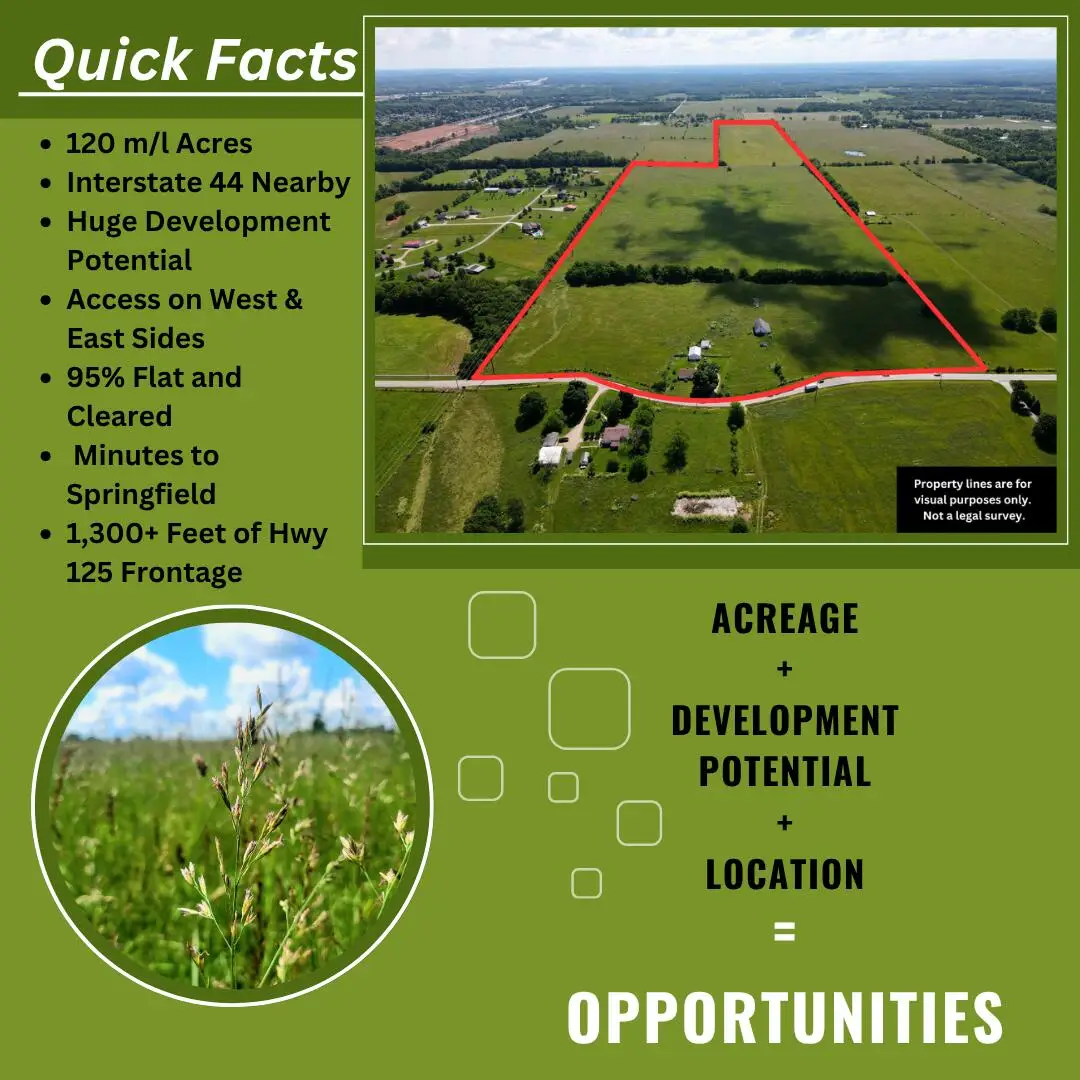 3246 N State Highway 125, Strafford, MO 65757 - Image #1