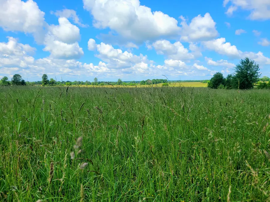 3246 N State Highway 125, Strafford, MO 65757 - Image #3