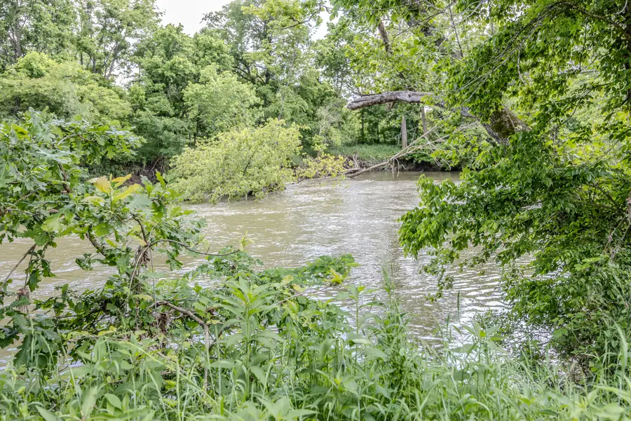 82 Watermill Road, Buffalo, MO 65622 - #3