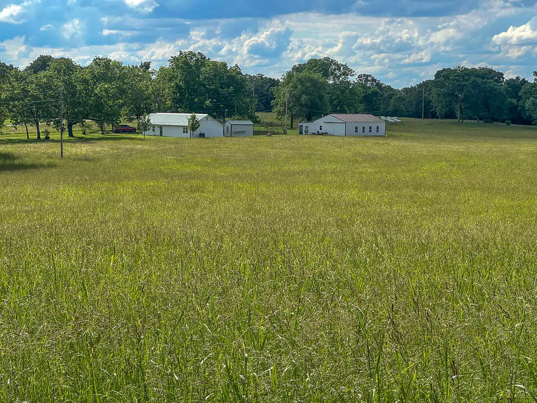 4521 Mcbride Road, Protem, AR 65733 - Image #1