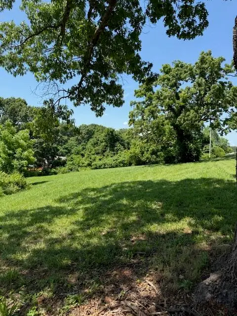 Lots 13 14 Sherry Drive, Neosho, MO 64850 - #1