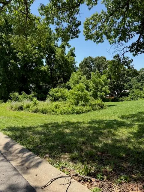 Lots 13 14 Sherry Drive, Neosho, MO 64850 - #2