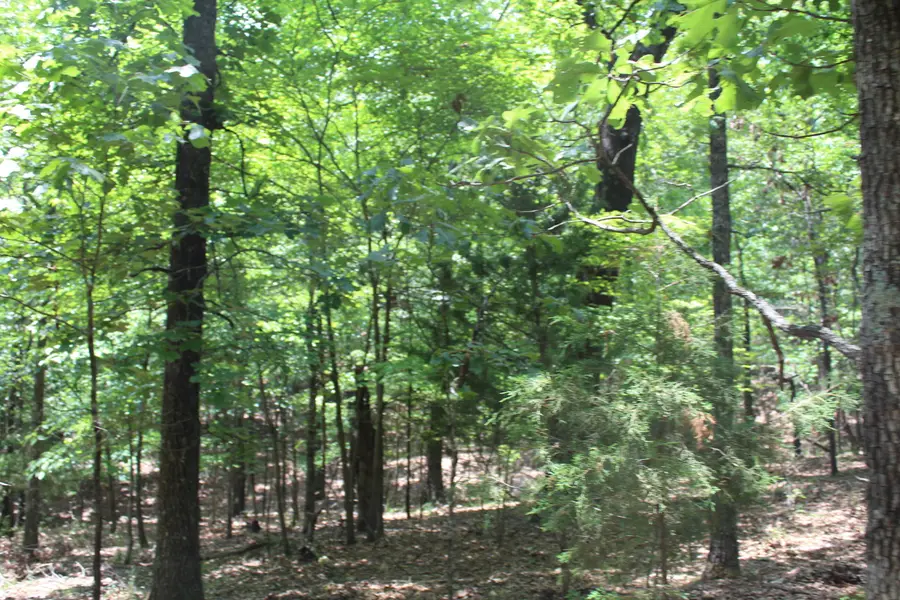 000 Oakridge Avenue #Block 3 Lot 64, Theodosia, MO 65761 - Image #3