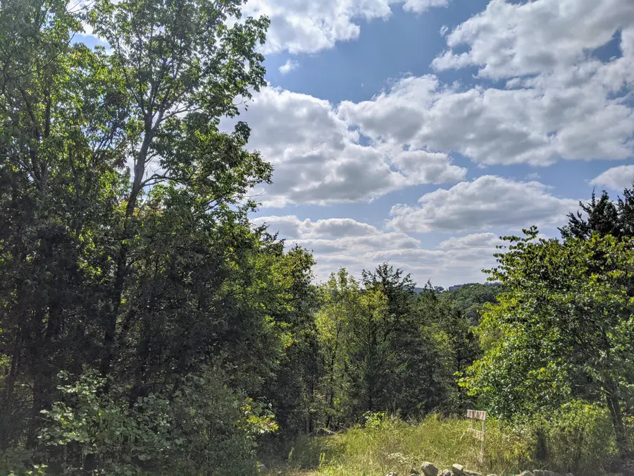 000 Shady Drive, Branson, MO 65616 - Image #3