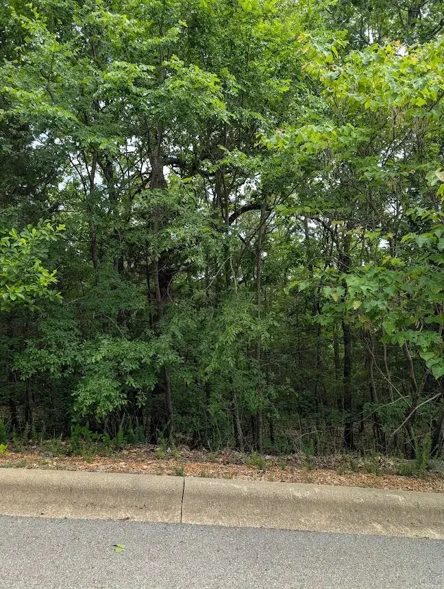 237 Crescent Drive, Hollister, MO 65672 - Image #3