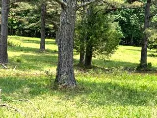 Pr Off County Road 164, Fremont, MO 63941 - Image #1