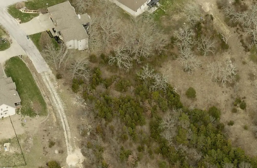 259 Jacks Hollow Road, Walnut Shade, MO 65771 - Image #1