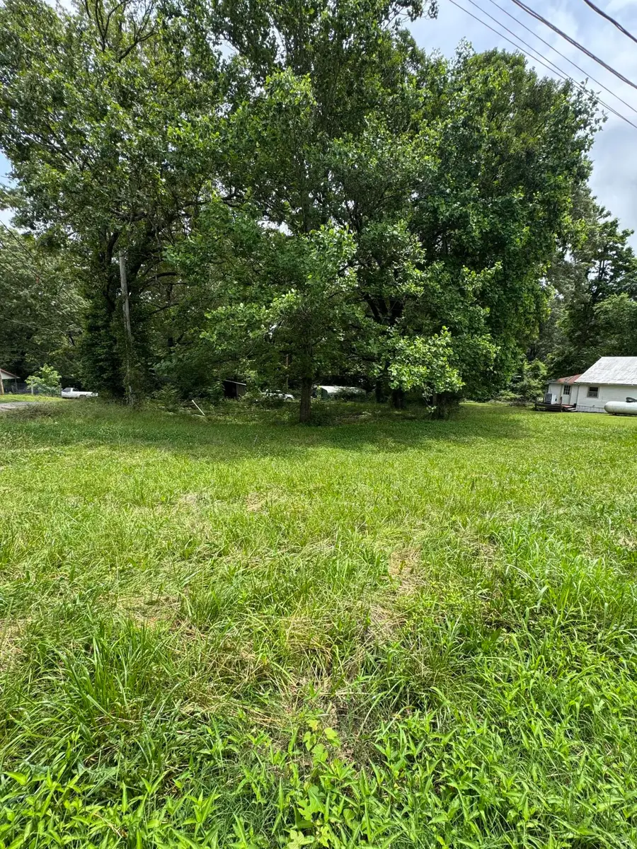 214 Sherman Street, Thayer, MO 65791 - Image #3