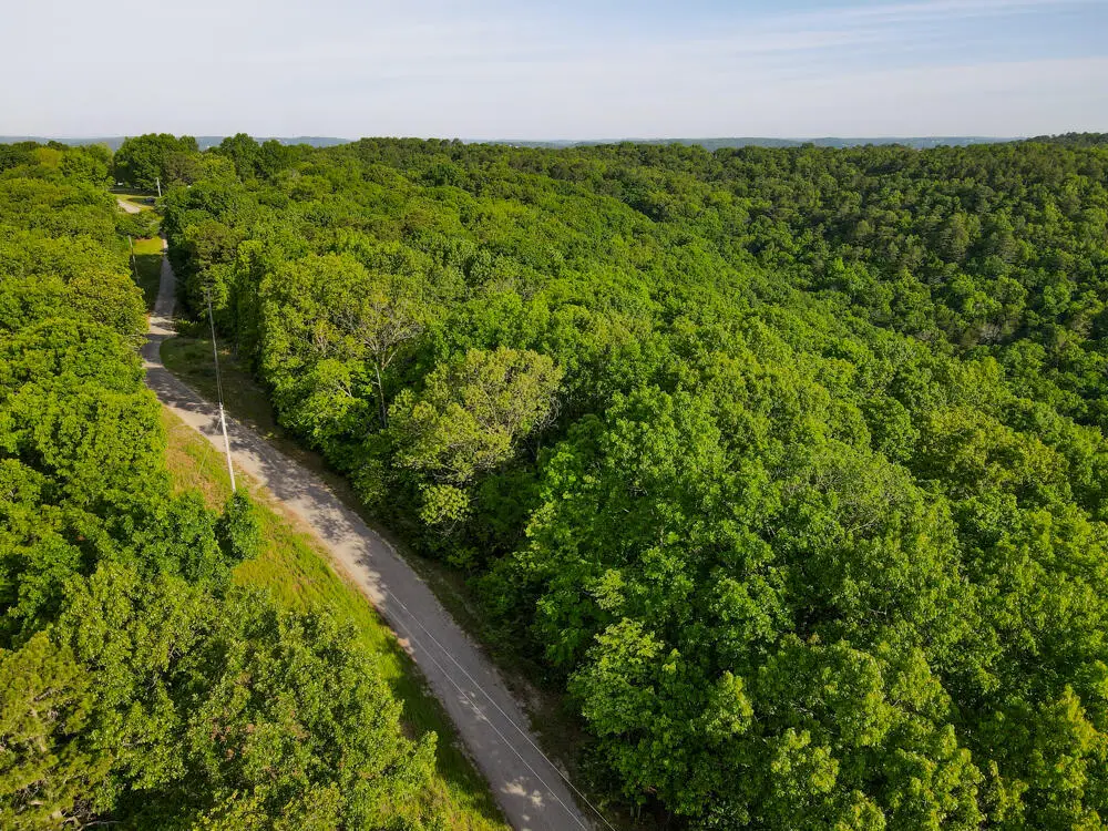 000 Mountain Estate Drive, Blue Eye, MO 65611 - Image #1