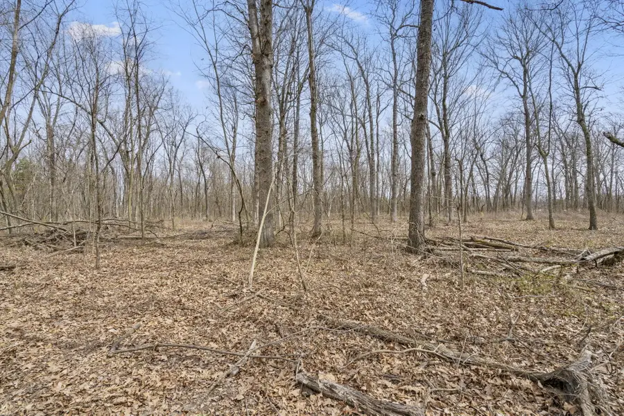 2007 N Farm Road 89, Springfield, MO 65802 - Image #3