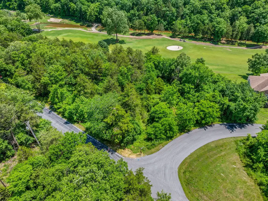 000 Lot 8 Forest Lake 2nd Add, Branson West, MO 65737 - Image #2