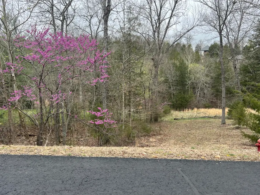 000 Appaloosa Trail, Saddlebrooke, MO 65630 - Image #2