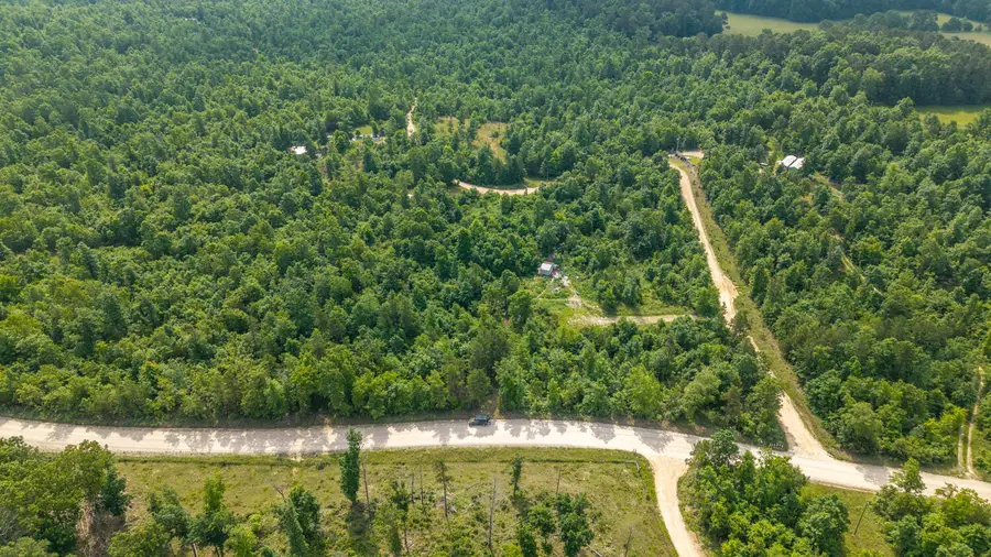 10916 Stella Way, Birch Tree, MO 65438 - Image #3