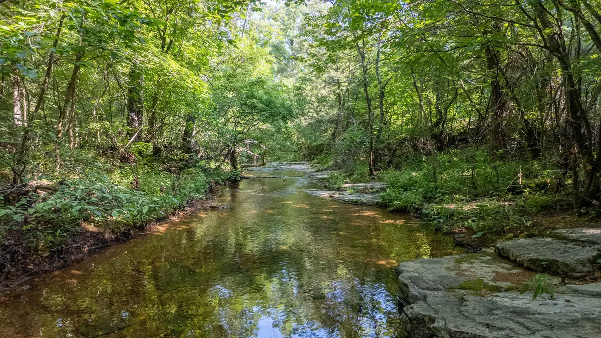 Tbd Brown's Creek Road, Ravenden, AR 72459 - Image #1