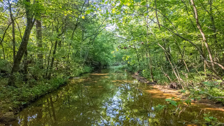 Tbd Brown's Creek Road, Ravenden, AR 72459 - Image #3