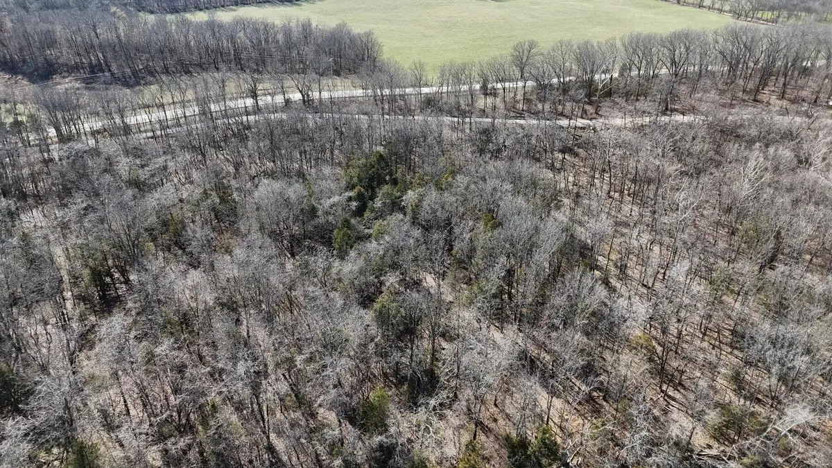 Tract 3 38 Highway, Hartville, MO 65667 - Image #1