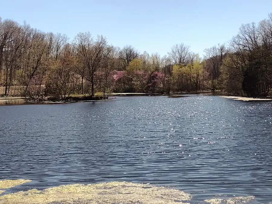 420 Lake Valley Drive, Seymour, MO 65746 - Image #2