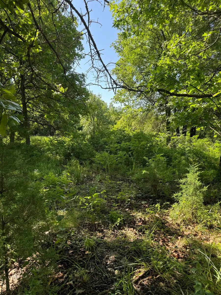 122 Post Oak Road, Tunas, MO 65764 - Image #3