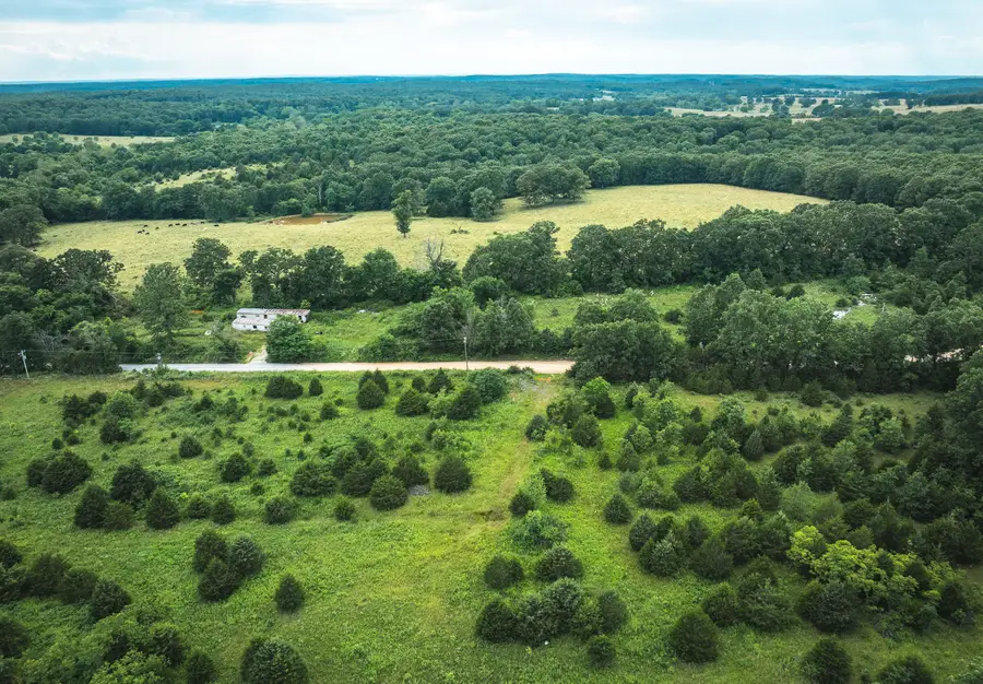 000 Highway Cc, Licking, MO 65542 - Image #2