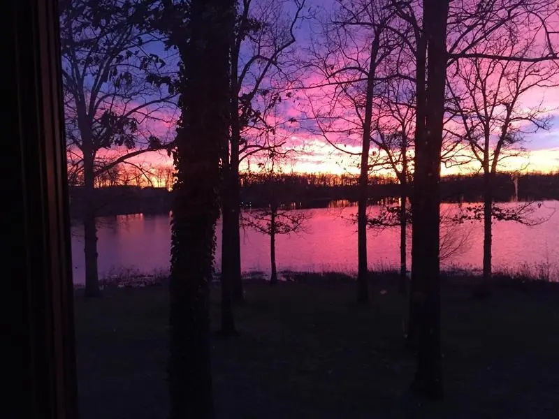 4808 County Road 8940, West Plains, MO 65775 - Image #3