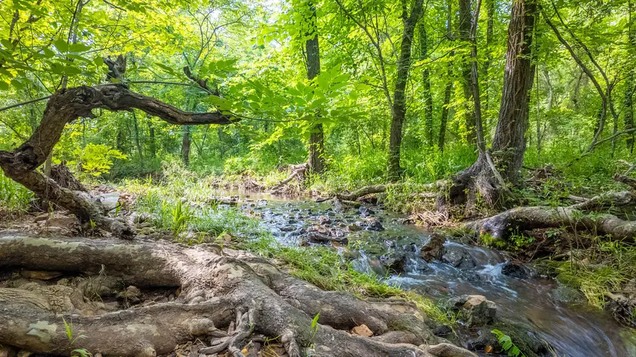 2048 County Road 27, Mountain Home, AR 72653 - Image #3