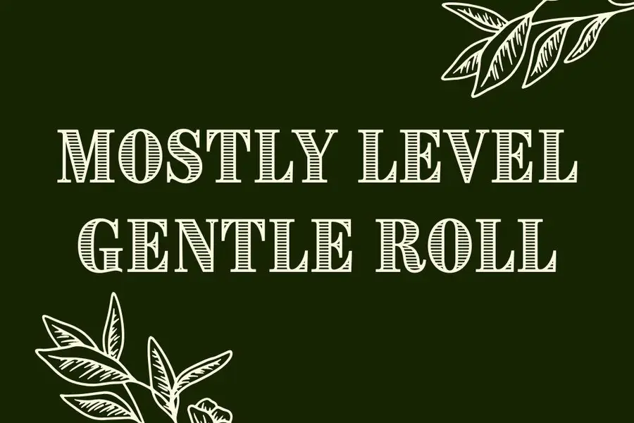 21+/- Acres Goldfinch Road, Neosho, MO 64850 - Image #3