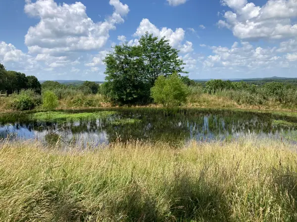 000 County Road O-532 #13, Ava, MO 65608