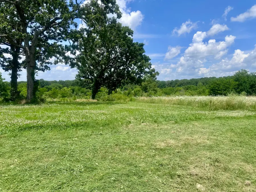 11975 E 1100 Road, Stockton, MO 65785 - Image #2