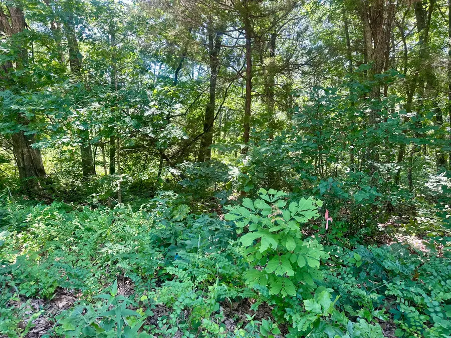 Tbd E Highway N, Stockton, MO 65785 - Image #3