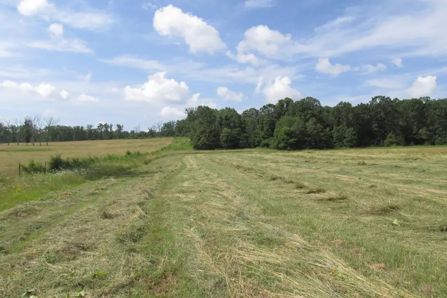 2 Owl Trail, Conway, MO 65632 - Image #2