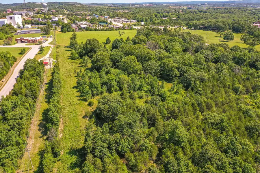 000 Branson Meadows Drive, Branson, MO 65616 - #3