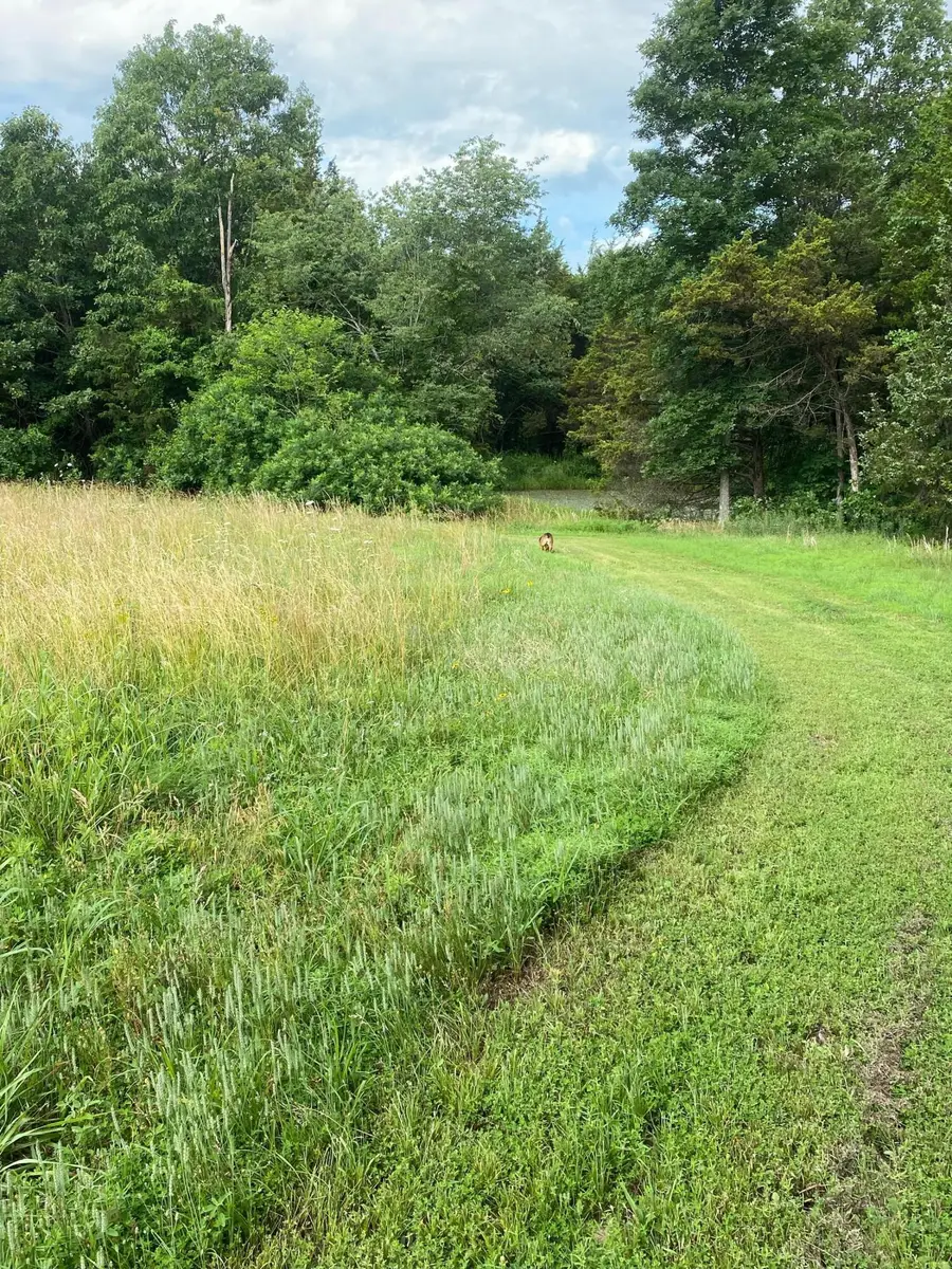 000 Lawrence 1240, Marionville, MO 65705 - Image #3