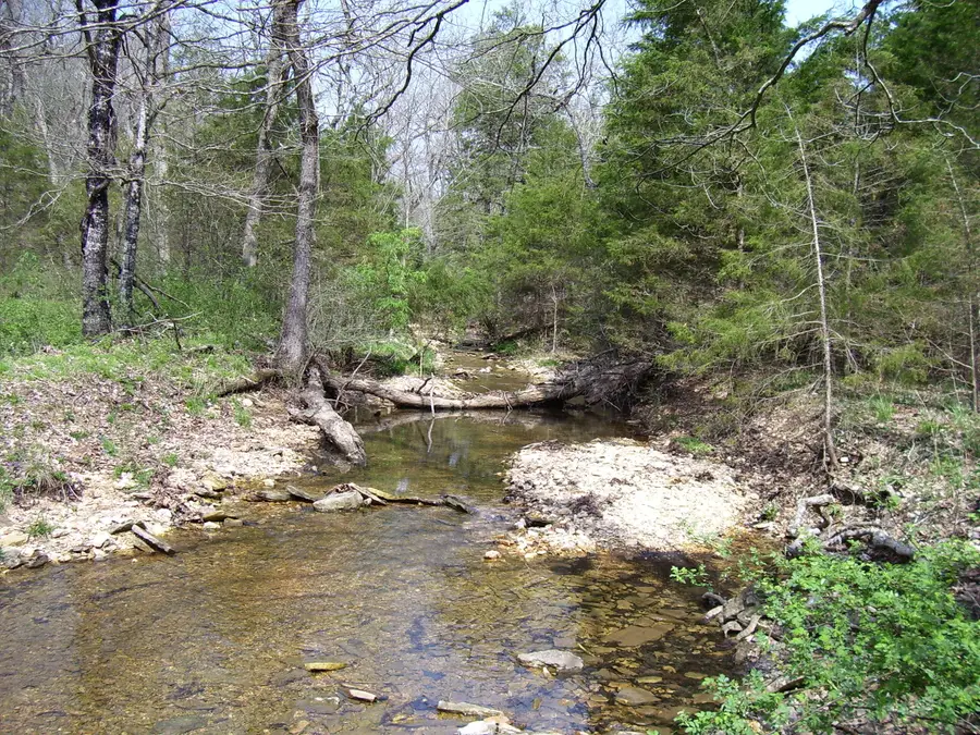 19358 Farm Road 2145, Cassville, MO 65625 - Image #3