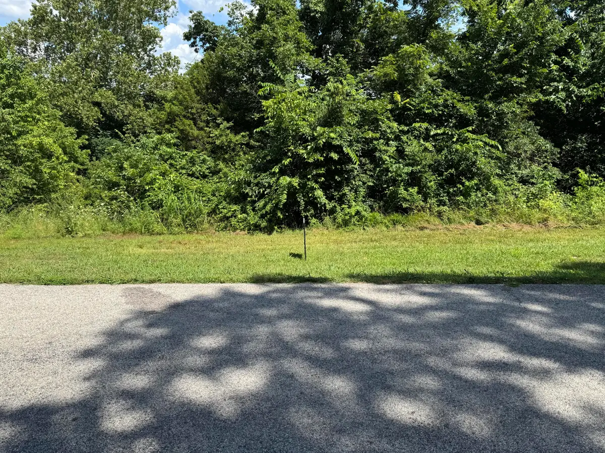 23 Lot Blk 10, Eagle Rock, MO 65641 - Image #1