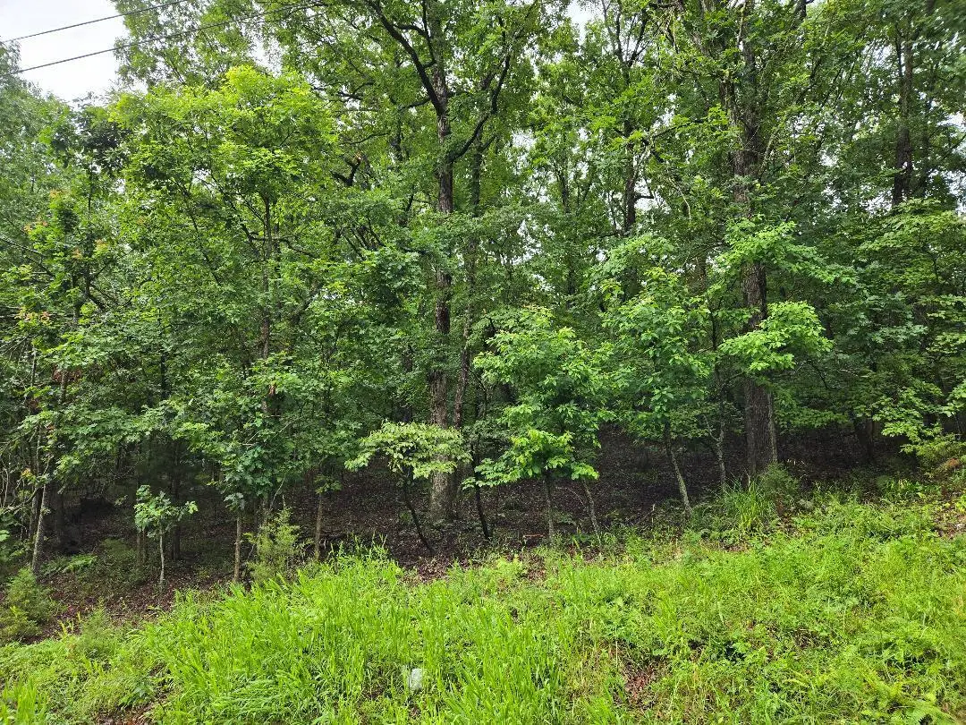 Lot 894, Camdenton, MO 65020 - Image #1