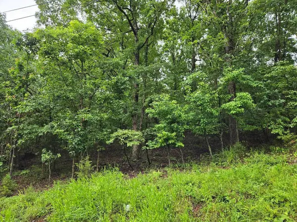 Lot 894, Camdenton, MO 65020