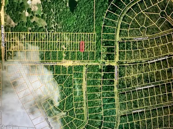 Lot 44 Investment Sales, Horseshoe Bend, AR 72512