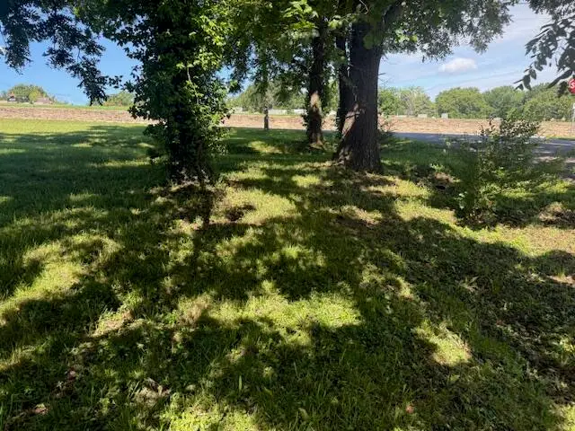 639 Lanton, West Plains, MO 65775 - Image #2