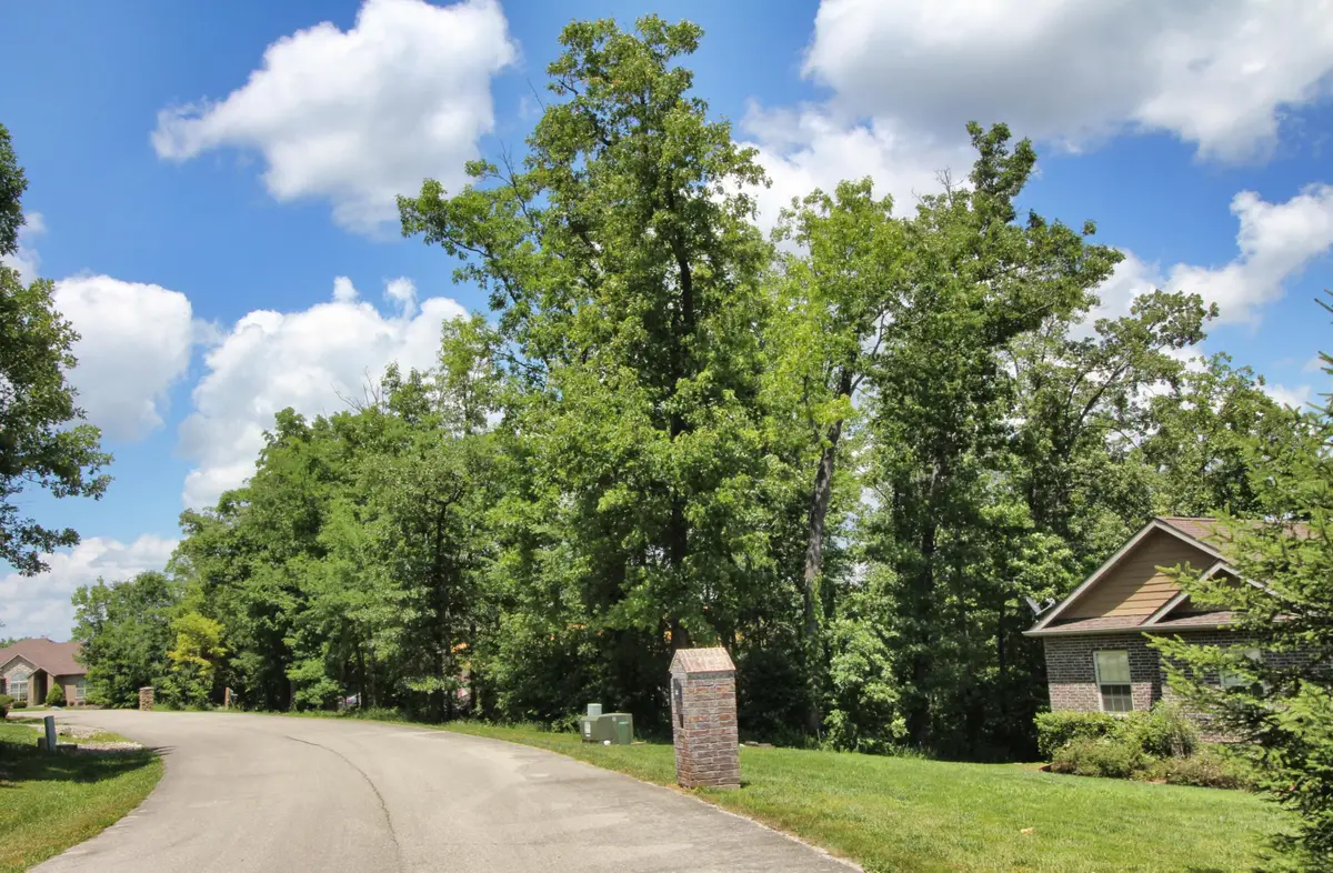 Lot 37 Crossing Drive, Branson West, MO 65737 - Image #1
