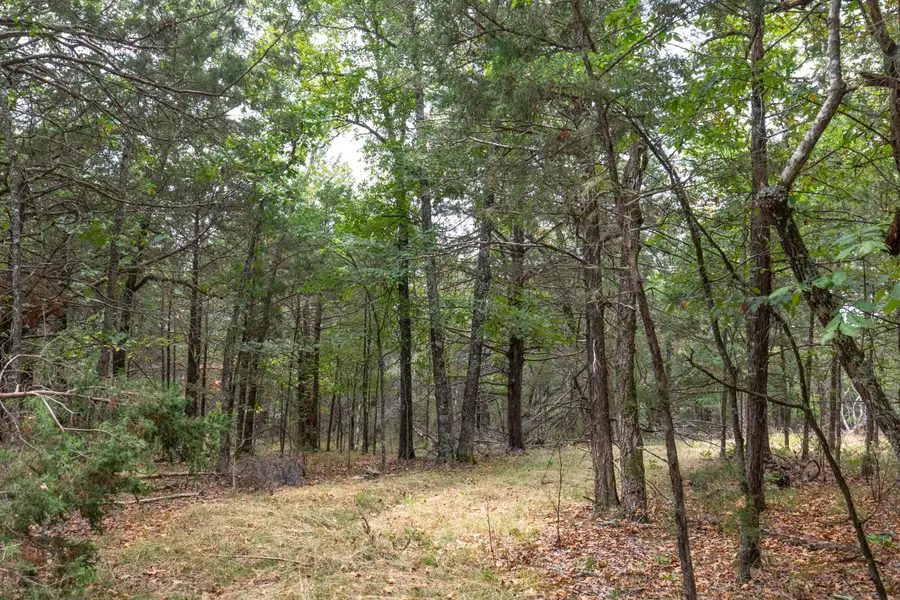 125 Blessing (heritage Bend #11) Way, Protem, MO 65733 - Image #2