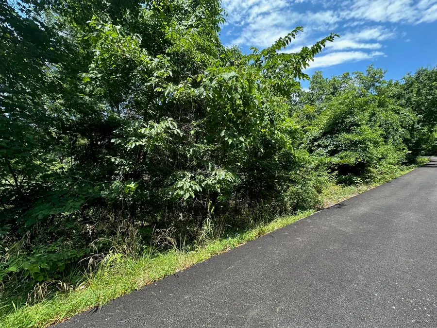 Lot 9 Paola Lane, Kimberling City, MO 65686 - Image #2