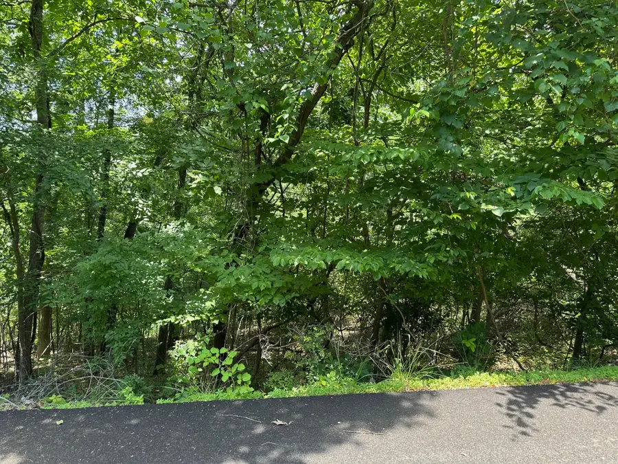 Lot 9 Paola Lane, Kimberling City, MO 65686 - Image #3
