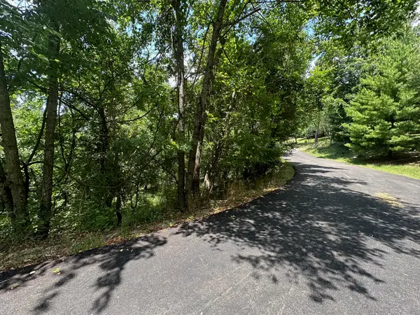 Lot 10 Paola Lane, Kimberling City, MO 65686