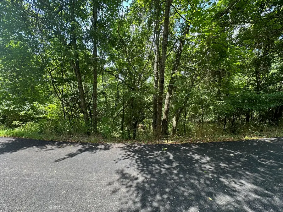 Lot 10 Paola Lane, Kimberling City, MO 65686 - Image #2