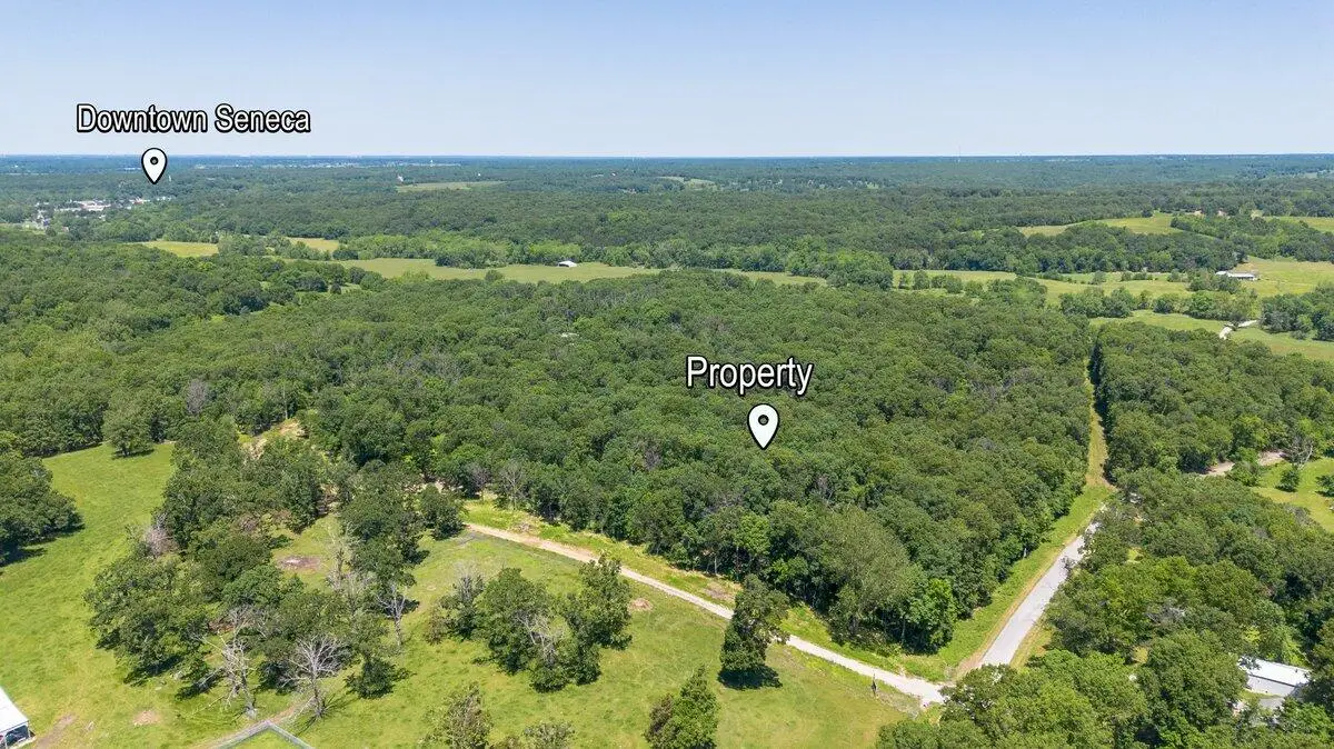 103 Penelope Lane, Seneca, MO 64865 - Image #1
