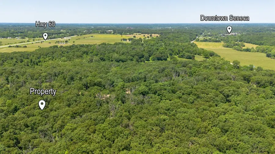 101 Penelope, Seneca, MO 64865 - Image #2