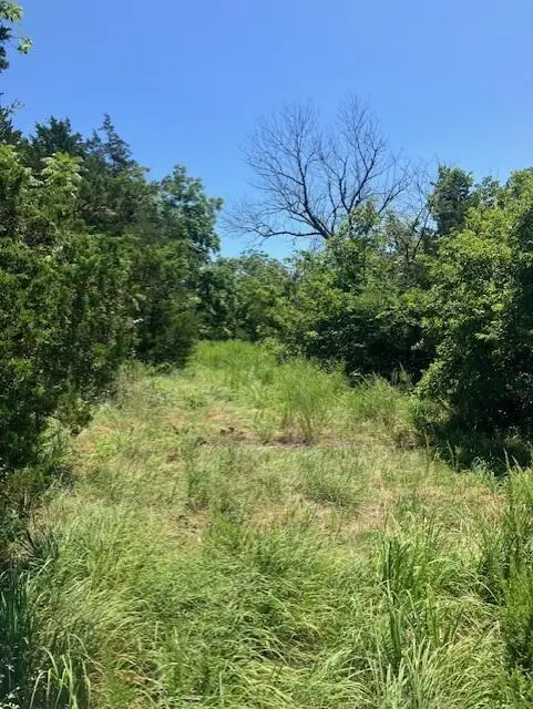 Tbd Dade Co Rd 135, Arcola, MO 65603 - Image #2