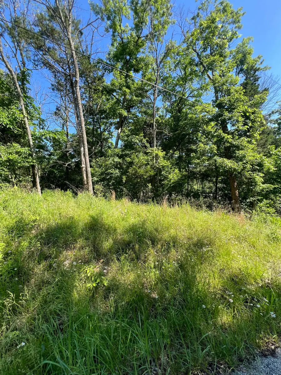 291 Beaver Road, Branson, MO 65616 - Image #3