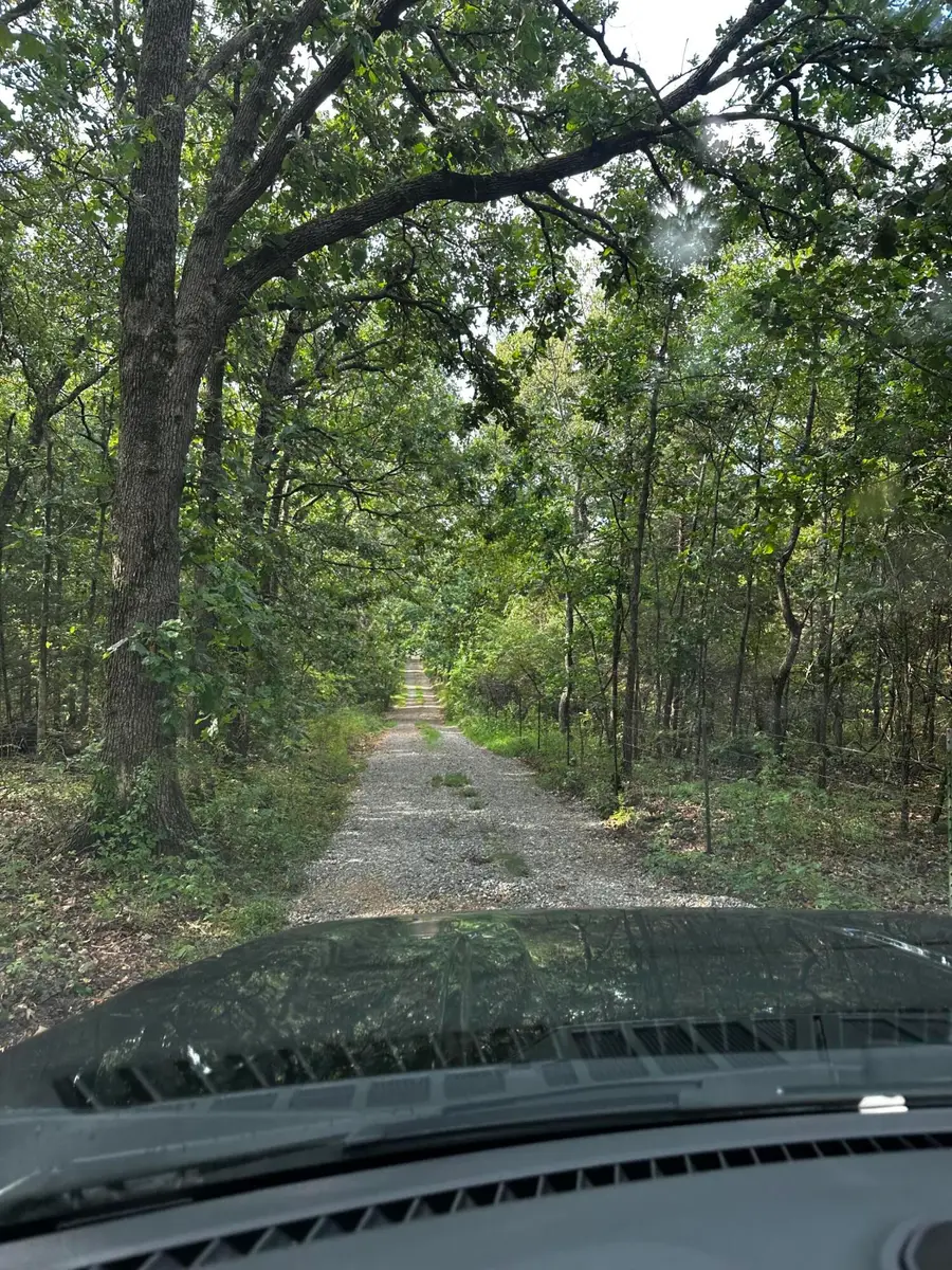 000 Crewse Drive, Huggins, MO 65484 - Image #2